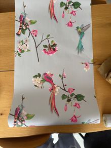 Arthouse wallpaper bird of paradise
