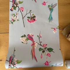 Arthouse wallpaper bird of paradise