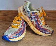 Shoes Asics Noosa 16 (size 45 - 28.5 cm) drop 5mm FFBlast+ Daily running tempo