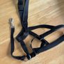 Halti headcollar Image 2