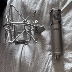 Warm audio WA-47jr Microphone