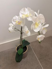 IKEA Artificial Plant + Pot