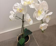 IKEA Artificial Plant + Pot