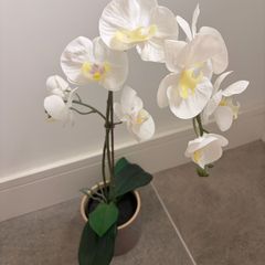 IKEA Artificial Plant + Pot