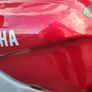 yamaha thundercat parts Image 3