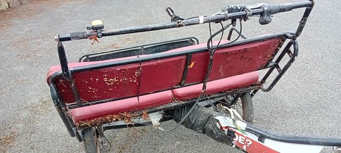 Ebike 3 Wheel Taxi