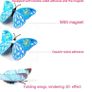 Double wing Butterflies Image 5