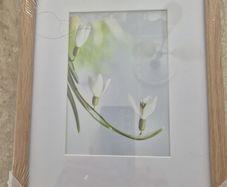 Photo Frame New