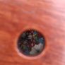 Mid Century Wooden Hexagnol Kaleidoscope Image 8