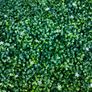50X50 cm plastic plants Image 5