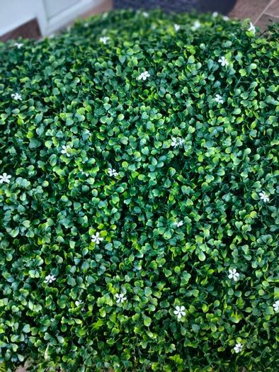 50X50 cm plastic plants