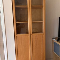 Ikea Billy Bookcase