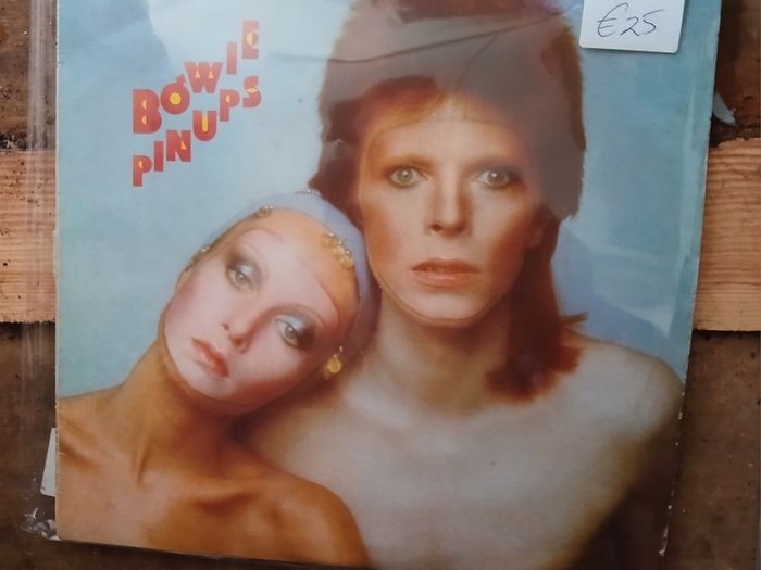 david   bowie