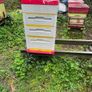 Beehives Image 3