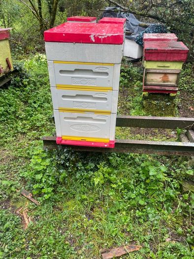 Beehives
