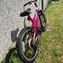 20-inch bike Image 3