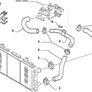 Bottom Rad Hose (Fiat Ducato) Image 2