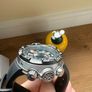 Citizen Promaster Aqualand Depth-Metre Image 3