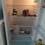 A+ Larder fridge Ice King 240L 55cm w x 142.5 h Image 2