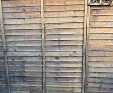 Garden Fence Panel