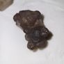 Grey kidney shaped agate euro Image 3