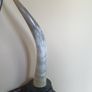 Antique / vintage pair whitehorns Image 2
