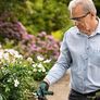Bosch EasyPrune Cordless Secateurs - Power Assisted Image 3