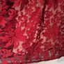 Amazing Embroidered Organza skater dress from Boohoo Boutique Image 7