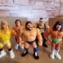 WWF Hasbros Image 2