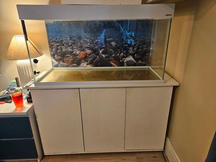 fish tank