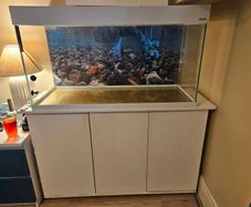 fish tank