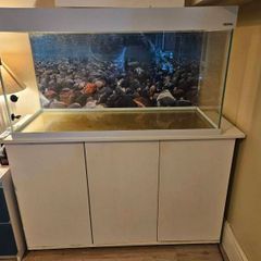 fish tank