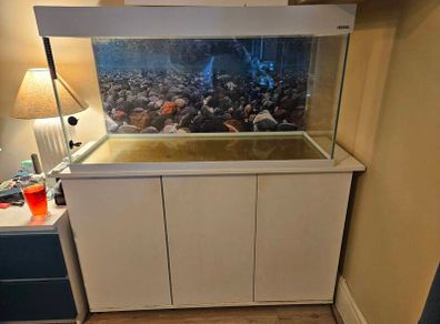 fish tank