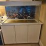 fish tanks Image 2