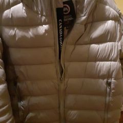 Canada Goose