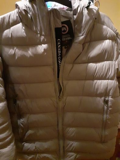 Canada Goose
