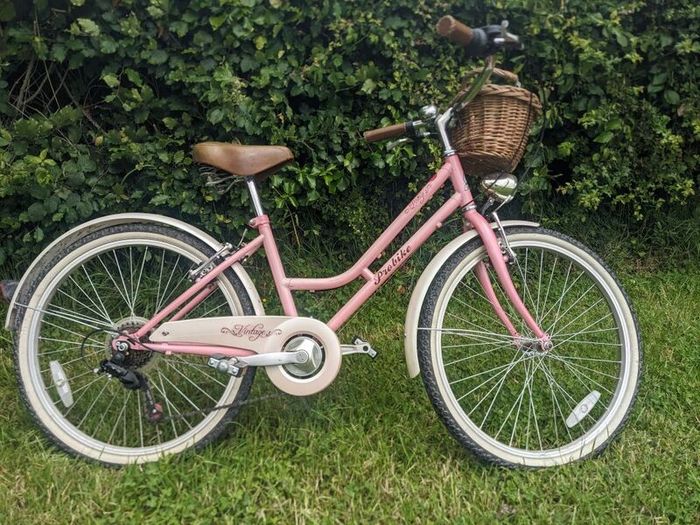Girls pink Vintage Pro Bike with basket