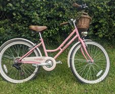 Girls pink Vintage Pro Bike with basket