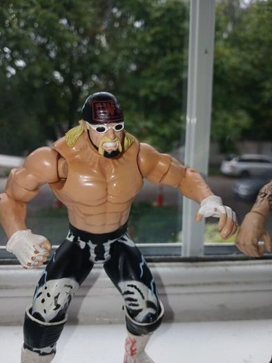 Hollywood Hogan and Undertaker WWE WWF