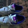 Nike Sb Dunk Image 7