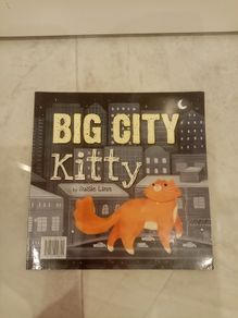 Big City Kitty book