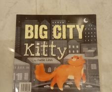 Big City Kitty book