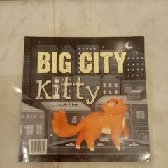 Big City Kitty book