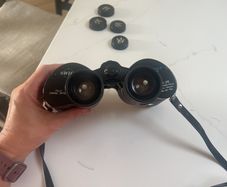 Swift Holiday Mark II binoculars