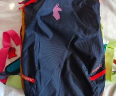 Cotopaxi Allpa 42L del dia Backpack