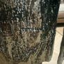 Sequin blazer size 12 - 14 Image 6