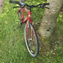 bike Image 3