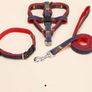 Dog harness+ more sold job lot or in pieces 200 dog harness+ accessories Image 8