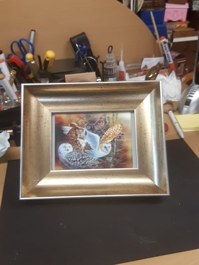 Owl holographic picture