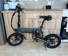 Fiido Folding Electric Bike